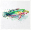 Tropical Dreams 4 - rice paper set - Crafty Wizard