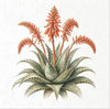 Desert Flowers 1 - rice paper set