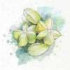 Tropical Fruit - rice paper set - Crafty Wizard