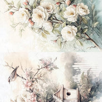 Assorted rice paper set 10