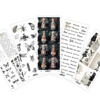 A4 transparent foil set - various designs