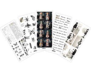 A4 transparent foil set - various designs