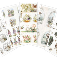 Assorted rice paper set 8