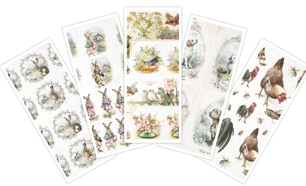 Assorted rice paper set 8