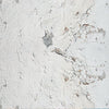 12" x 12" paper pad - Shabby Texture - Crafty Wizard