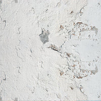 12" x 12" paper pad - Shabby Texture - Crafty Wizard