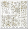 11.8" x 12.1" paper pad - Herbarium 2