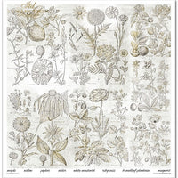 11.8" x 12.1" paper pad - Herbarium 2