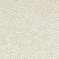 12" x 12" paper pad - Shabby Texture - Crafty Wizard