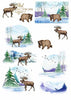 A4 Winter Animals paper pad