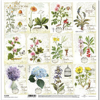 11.8" x 12.1" paper pad - Herbarium
