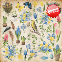 8" x 8" paper pad - Botany Spring - Crafty Wizard