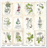 11.8" x 12.1" paper pad - Herbarium 2