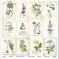 11.8" x 12.1" paper pad - Herbarium 2