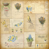 8" x 8" paper pad - Botany Spring - Crafty Wizard