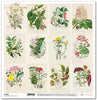 11.8" x 12.1" paper pad - Herbarium