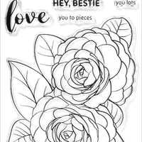 Altenew - Paint-A-Flower: Camellia Waterhouse Outline - Clear Stamp Set