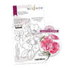 Altenew - Paint-A-Flower: Carefree Delight Outline - Clear Stamp Set