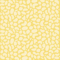 8" x 8" paper pad - Safari For Kids