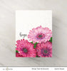 Altenew - Paint-A-Flower: Gerbera Revolution - Clear Stamp Set