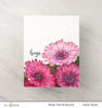 Altenew - Paint-A-Flower: Gerbera Revolution - Clear Stamp Set