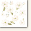 6" x 6" paper pad - Innocence Flowers