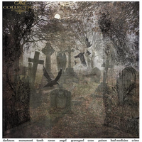 11.8" x 12.1" paper pad - Gothic Stories