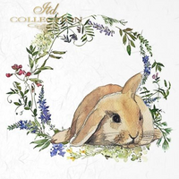 Bunnies 1 - rice paper set
