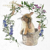 Bunnies 1 - rice paper set