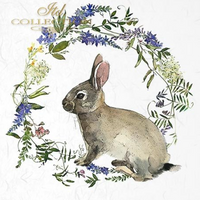 Bunnies 1 - rice paper set