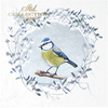 Winter Birds - rice paper set