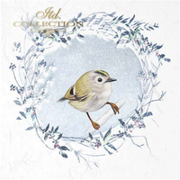 Birds of Winter - rice paper set