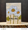 Altenew - Spring Daisy - Clear Stamp Set