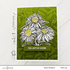 Altenew - Paint-A-Flower: White Swan Echinacea - Clear Stamp Set