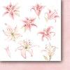 6" x 6" paper pad - Scent of Paradise Flowers