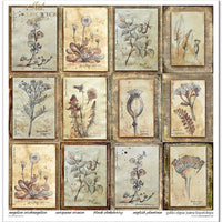 11.8" x 12.1" paper pad - Herbarium 2