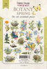 58pcs Botany Spring die cuts - Crafty Wizard