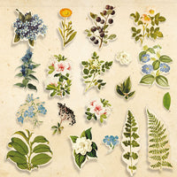 58pcs Botany Summer die cuts - Crafty Wizard