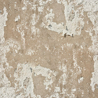 12" x 12" paper pad - Shabby Texture - Crafty Wizard