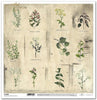 11.8" x 12.1" paper pad - Herbarium