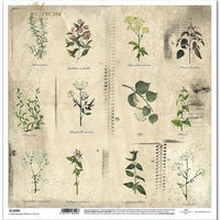 11.8" x 12.1" paper pad - Herbarium