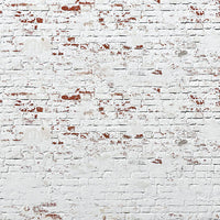12" x 12" paper pad - Shabby Texture - Crafty Wizard