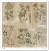 11.8" x 12.1" paper pad - Herbarium 2