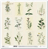 11.8" x 12.1" paper pad - Herbarium