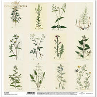 11.8" x 12.1" paper pad - Herbarium