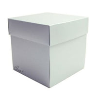 GoatBox Exploding box - shimmer silver