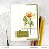 Altenew - Paint-A-Flower: Sunflower - Clear Stamp Set